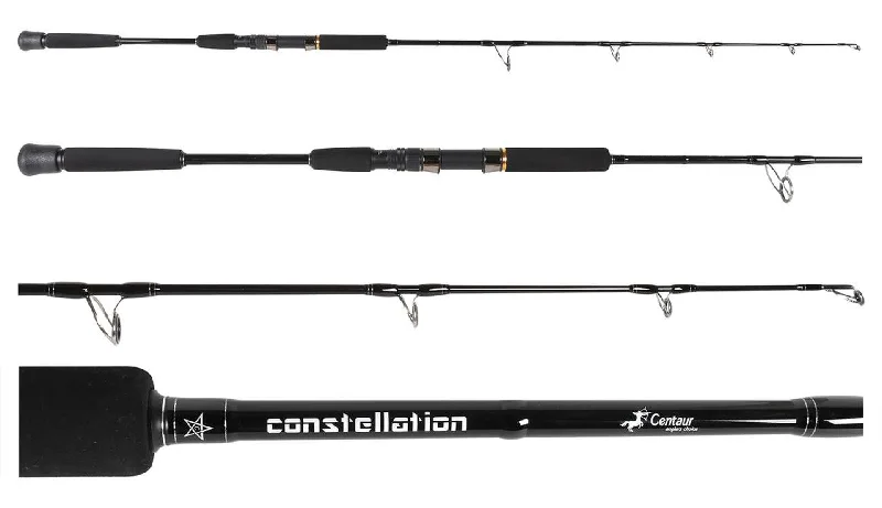 Centaur Constellation Spin Jigging Rod