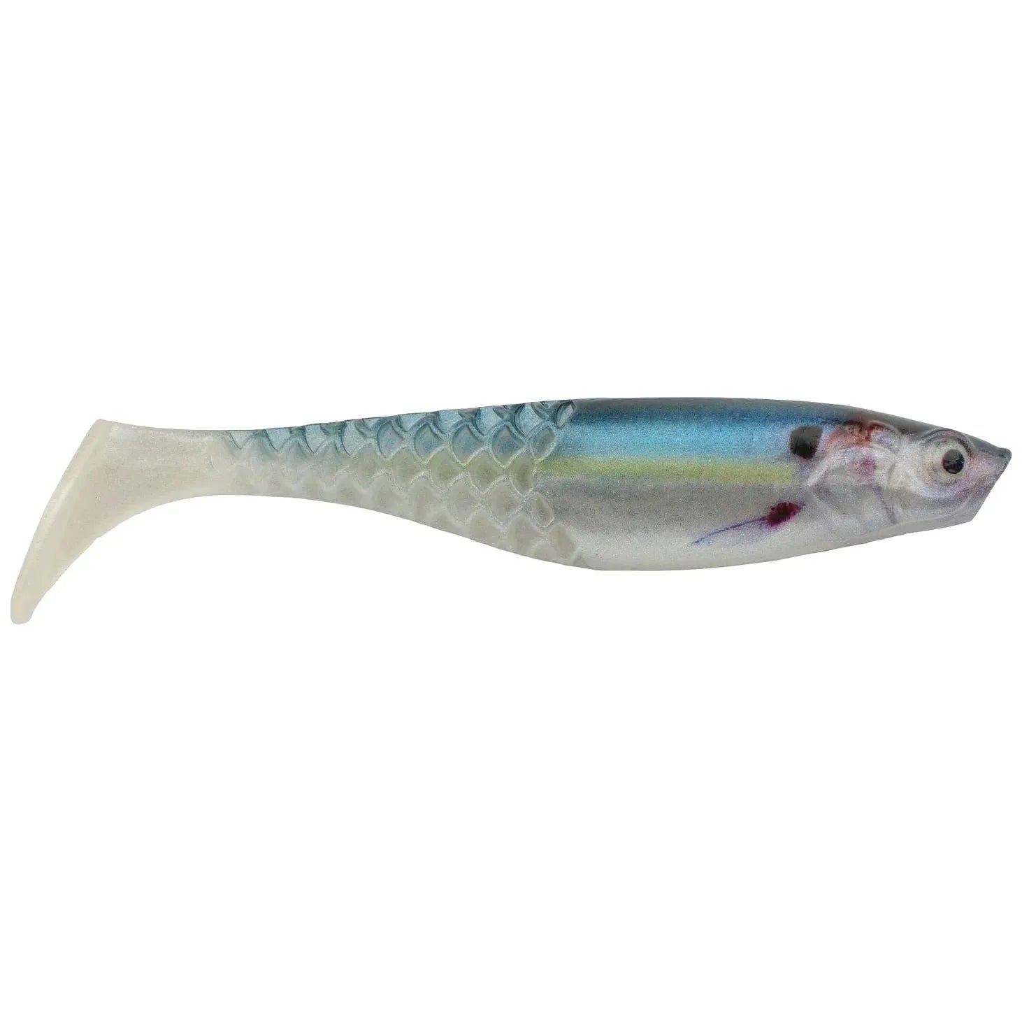 HD Gizzard Shad