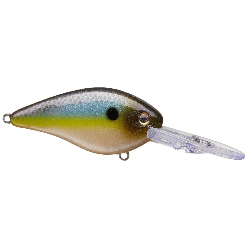 Summer Sexy Shad