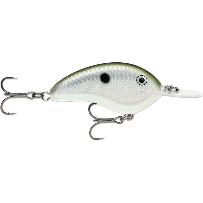 Green Gizzard Shad