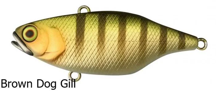 Brown Dog Gill